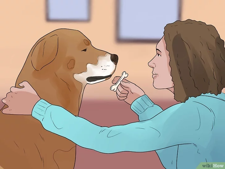 Изображение с названием House Train Your Dog in Ten Days Step 12