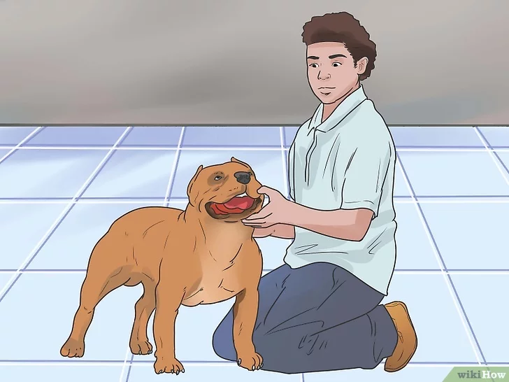 Изображение с названием House Train Your Dog in Ten Days Step 11